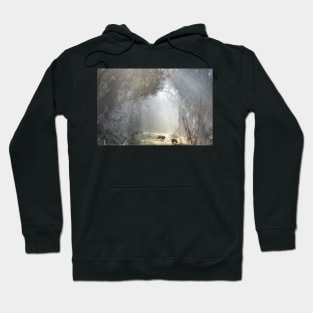 Clearing in the Forest Hoodie